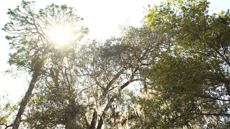 We're Going to Heaven Soon