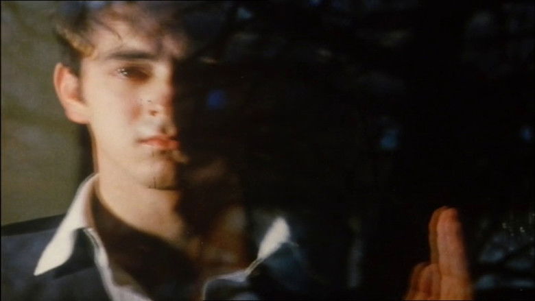 Imatge de Early Monthly Segments