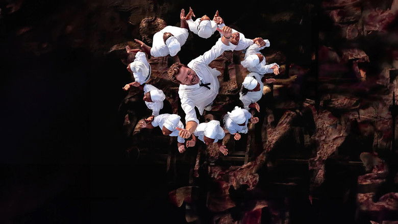 Imatge de Christophe Maé - Carnet de voyage