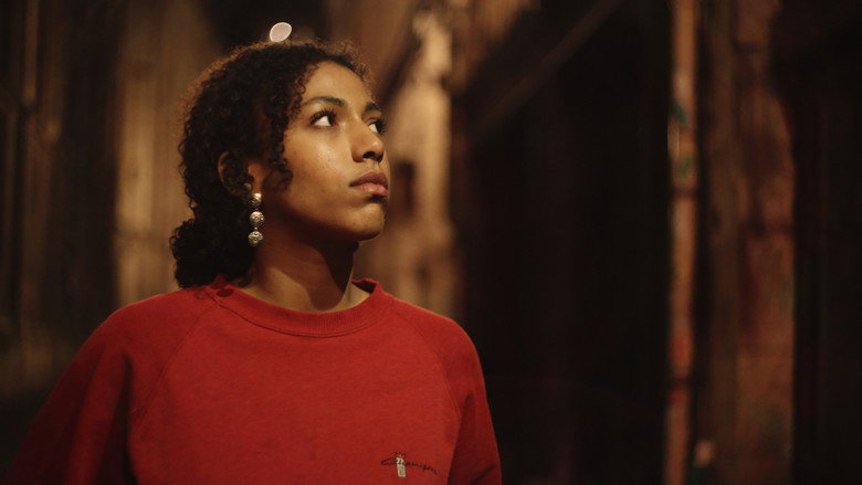 Imatge de Hedera Helix