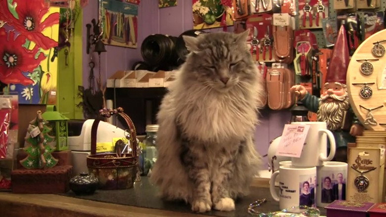 Imatge de Unique Boutique