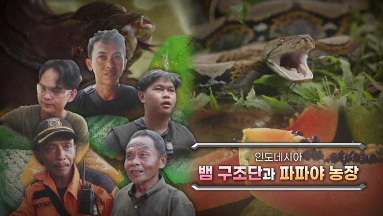 Still image for Extreme Job season 1 episode 1184: Episode 1184