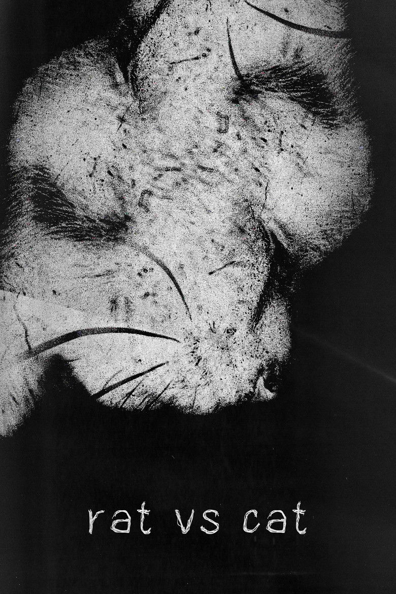 Imatge de cat vs rat
