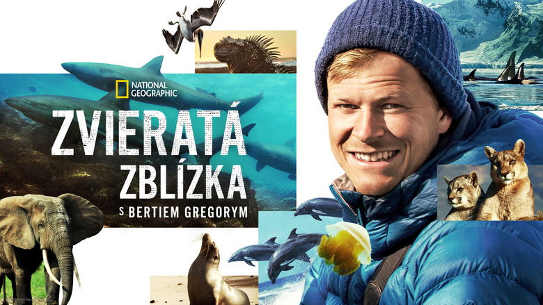 Gallery image from kuHOVwTIe7vi0yEXqeFGzJmg6pA.jpg