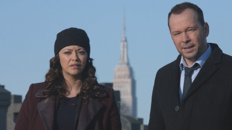 The Resident Saison 5 Episode 14 Streaming Série Blue Bloods Saison 5 épisode 14 en streaming VF et VOSTFR gratuit