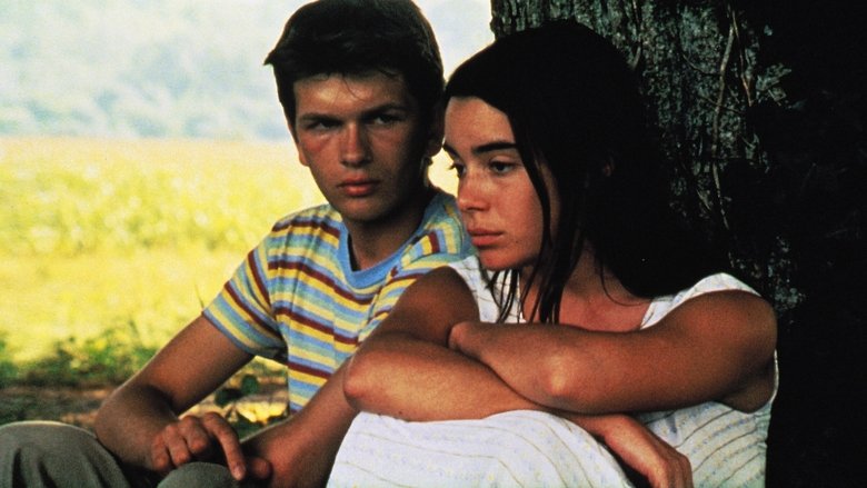 Gallery image from kuxzecMwqzC3Tz0ZuQ0JSZv9wwh.jpg