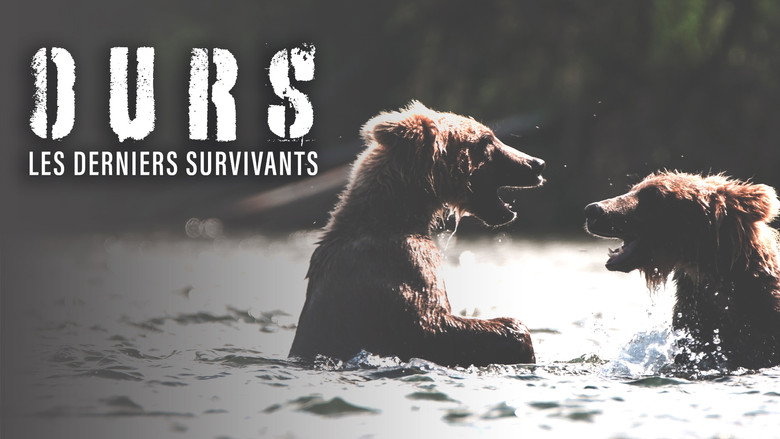 Imatge de Bears : Ultimate Survivors