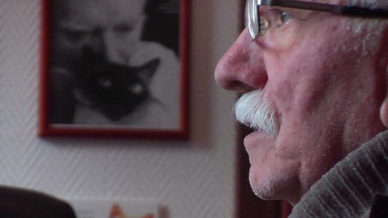 Gallery image from kvyXD6BDd4G8q5dWV8rhXfV2l9i.jpg