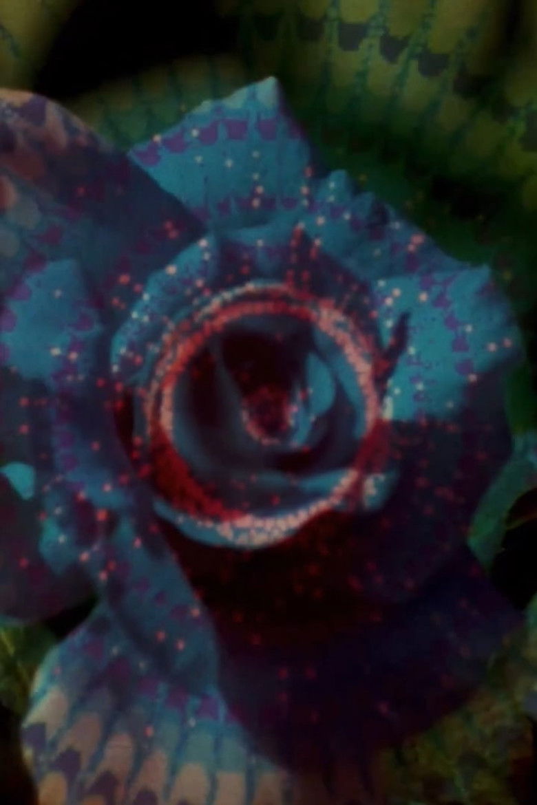 Imatge de Exultations: In Light of the Great Giving