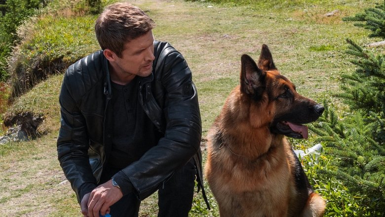 Hudson & Rex (Serie, 2019 - 2023) - MovieMeter.nl Hudson & Rex (Serie, 2019 - 2023) - Moviemeter.Nl