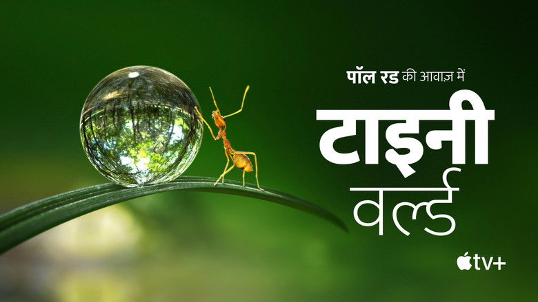 Gallery image from kxy3AdxwRDtuXN5GtuWNGnfiX59.jpg