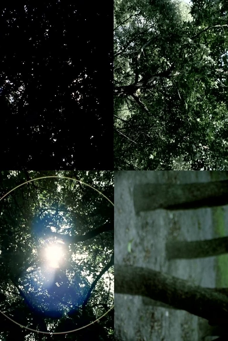 The Pursuit of What Was main poster