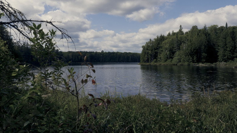 Imatge de Finding Limberlost