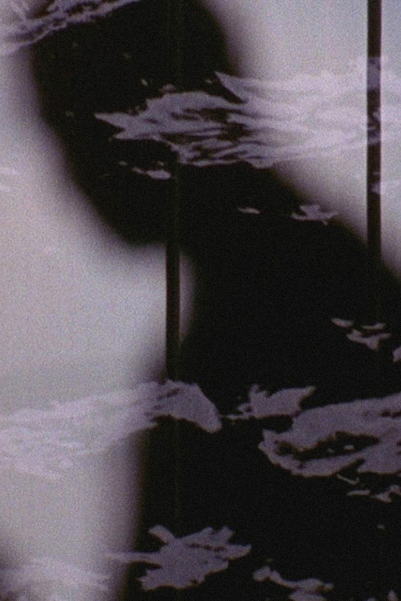 Imatge de The Liquid Casket / Wilderness of Mirrors