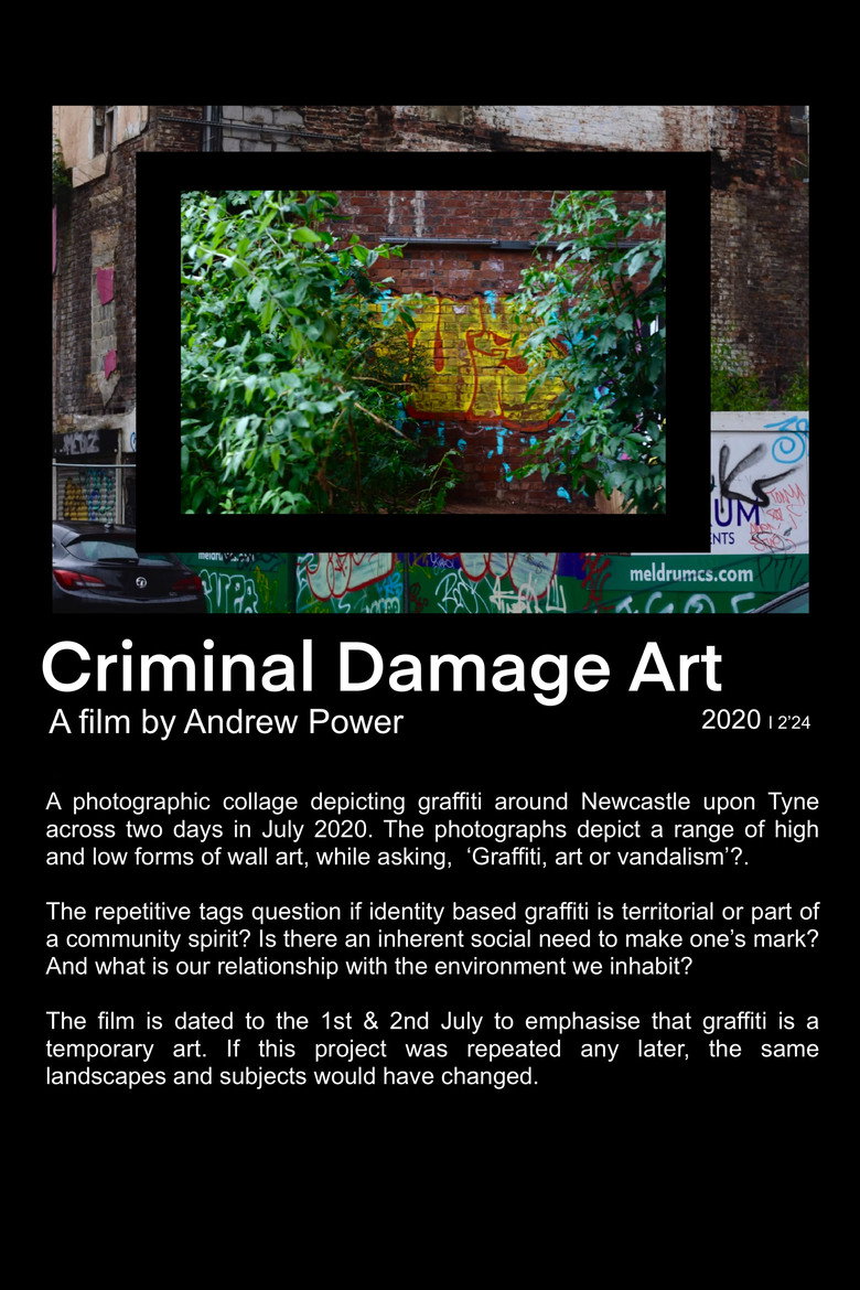 Imatge de Criminal Damage Art
