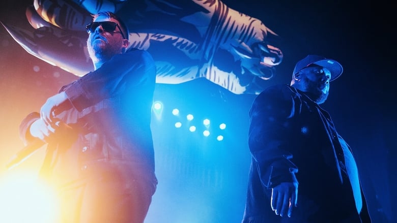 Run The Jewels - LIVE AT TERMINAL 5 NYC