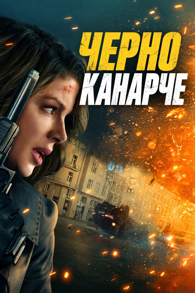 Постер на Черното канарче