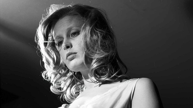 Gallery image from l03yoIx6BTIf9frzyB1tUrctPmb.jpg