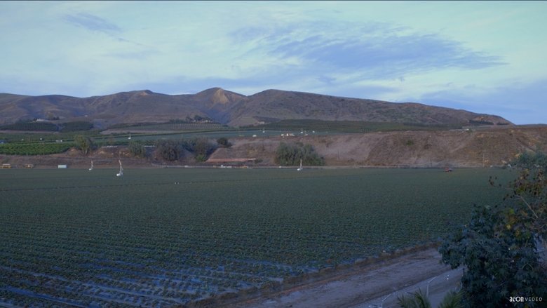 Canción del Campo movie poster