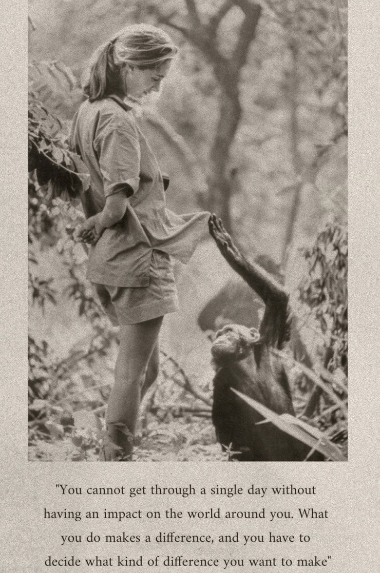 Imatge de Famous Last Words: Dr. Jane Goodall