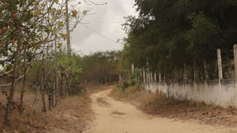 Relato e Interven&ccedil;&atilde;o de Trotsky na Rep&uacute;blica dos Generais Tropicais por Ocasi&atilde;o da Crise Permanente