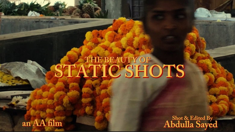 The Beauty of Static Shots backdrop