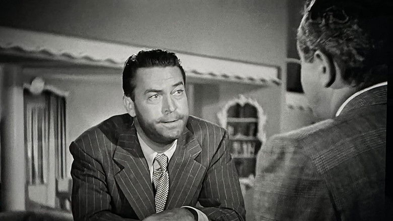 Gallery image from l1TXl1mPH393qSMflImZeZy2BIY.jpg