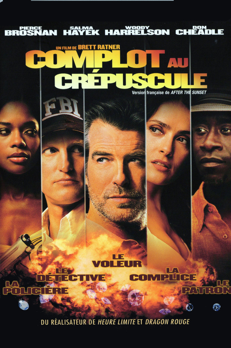 Póster la Película