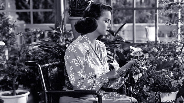 Image d'arrière-plan 6 du film L'étranger dans la cité