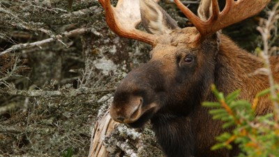 Still image for Wild Wild East season 1 episode 7: Highlands Still image for Wild Wild East season 1 episode 7: Highlands