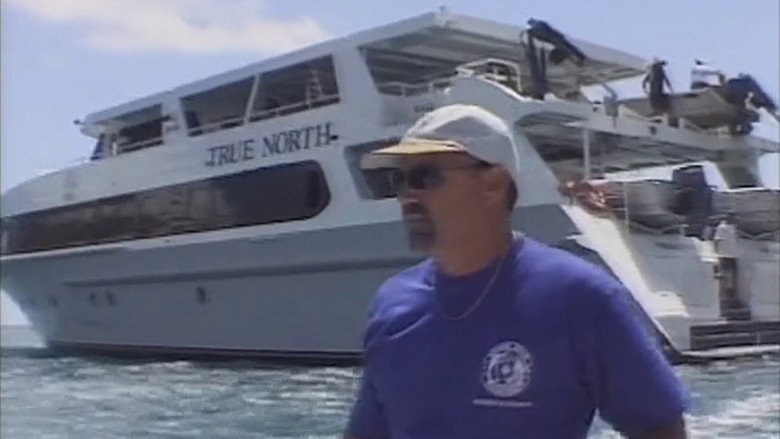 Imatge de Travelling True North