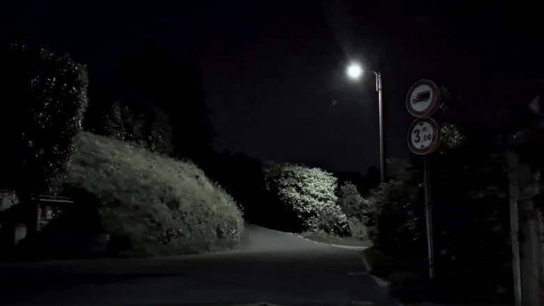 Nightdrive