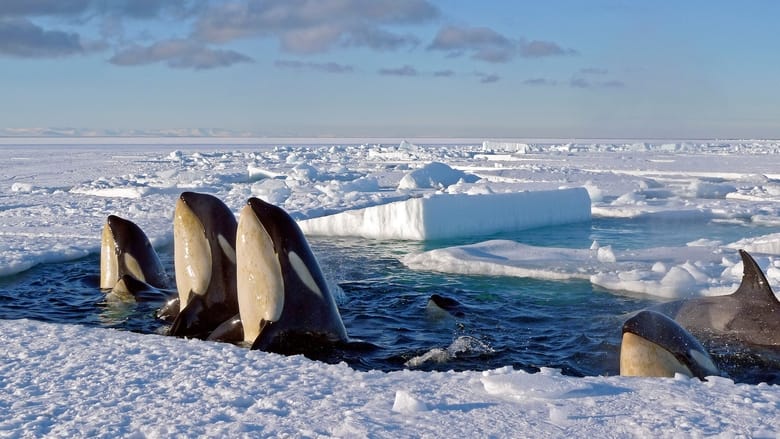 Terres de glace