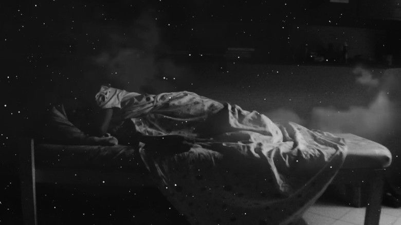 Imatge de Nocturnal Animals