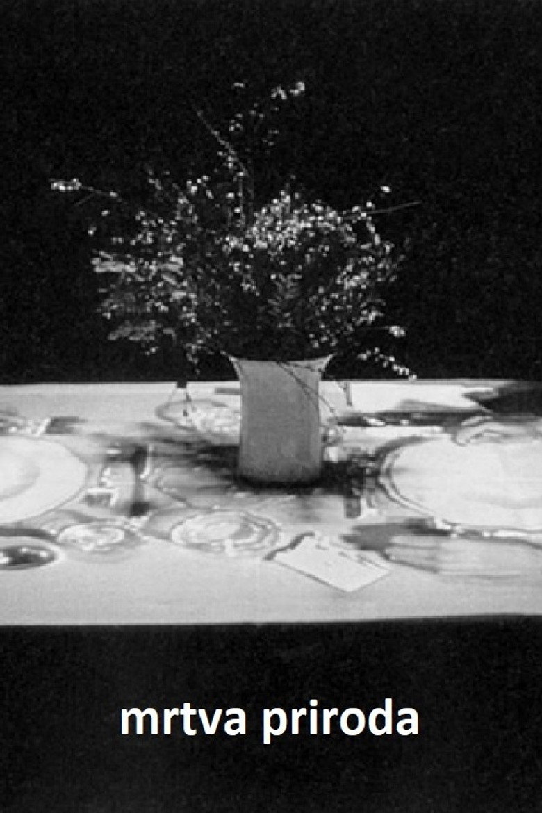 Still Life background