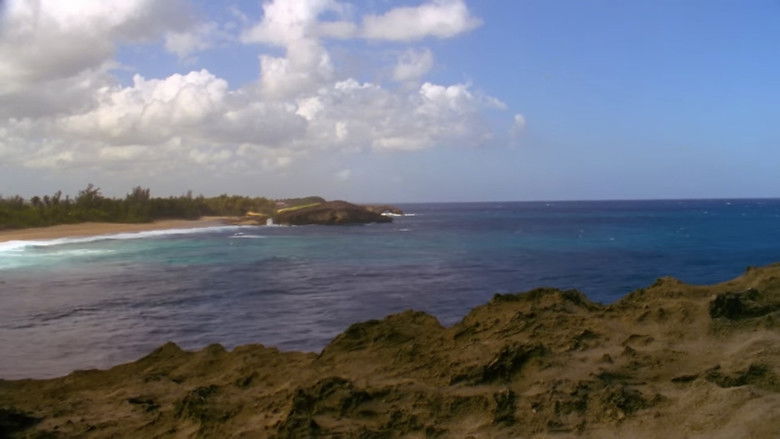 Gallery image from l4cK4CqmJuNMtNjDyVOc5vupFnZ.jpg