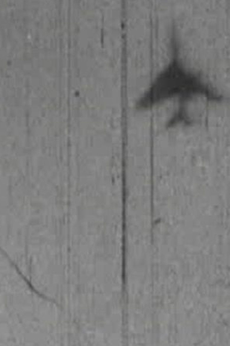 Imatge de Mapping Lessons