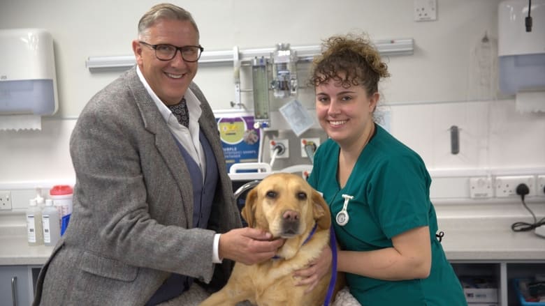 The Dog Hospital with Graeme Hall