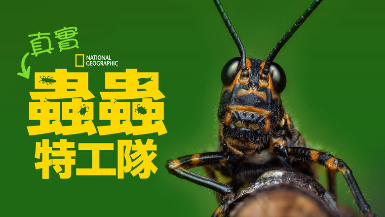 Gallery image from l72RIawna3BQqFopLqsLO7Tw1po.jpg