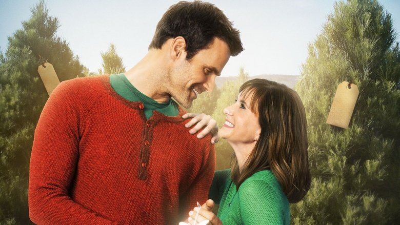 The Christmas Ornament main backdrop