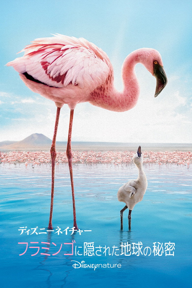 Plakat filmu フラミンゴに隠された地球の秘密