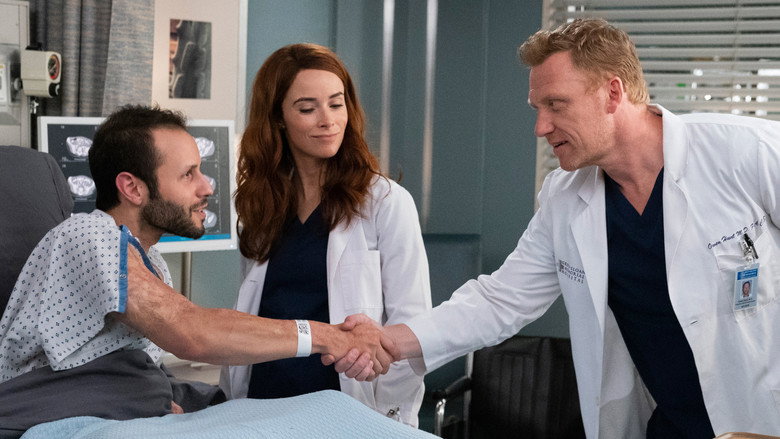 Grey's Anatomy Staffel 15 Folge 25