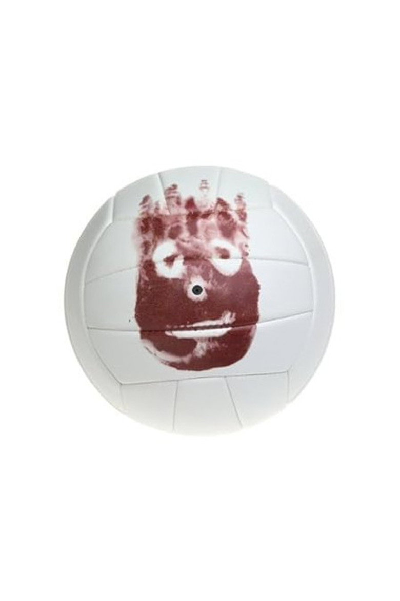 Wilson the Volleyball portrait