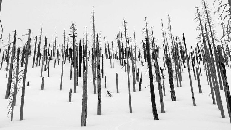 Imatge de The Blackcountry Journal