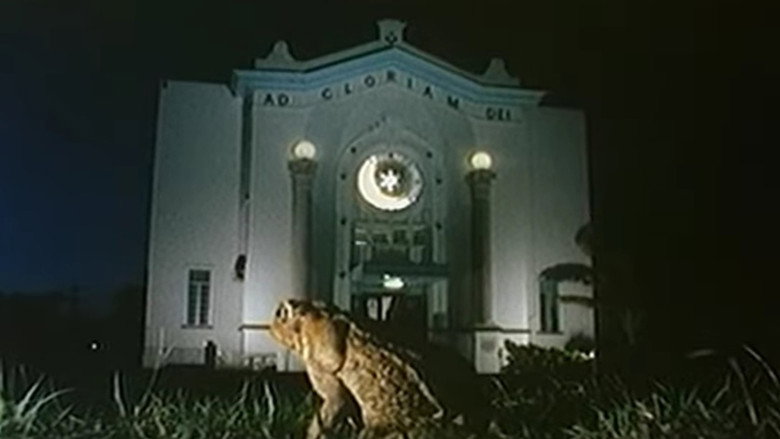 Fondo del título