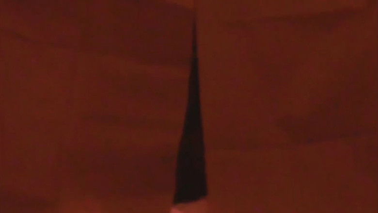 Imatge de Labour Exploiration