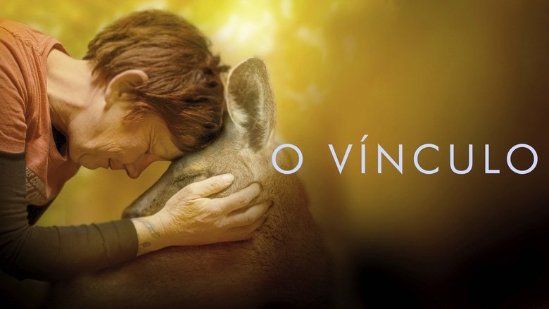 Gallery image from l8aSyHpUtp3H4jfGiK9S6HebeFc.jpg