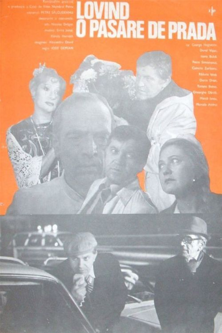 Imatge de Lovind o pasăre de pradă