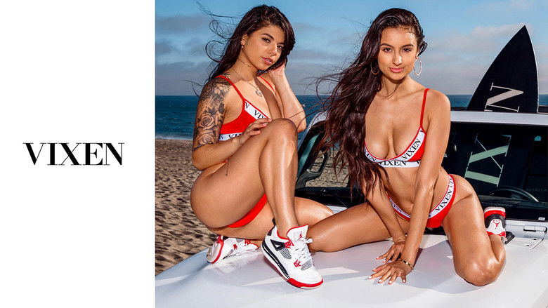 Backdrop de Club VXN Collection