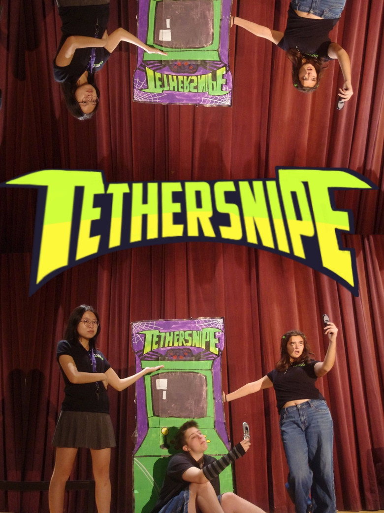 Imatge de Tethersnipe